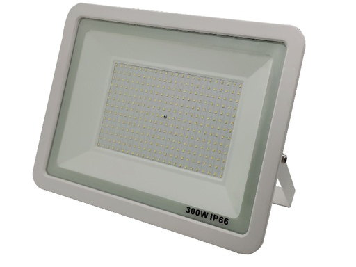 [DS-XX-300W] Foco sin Driver Blanco 300W 230v Luz Fría